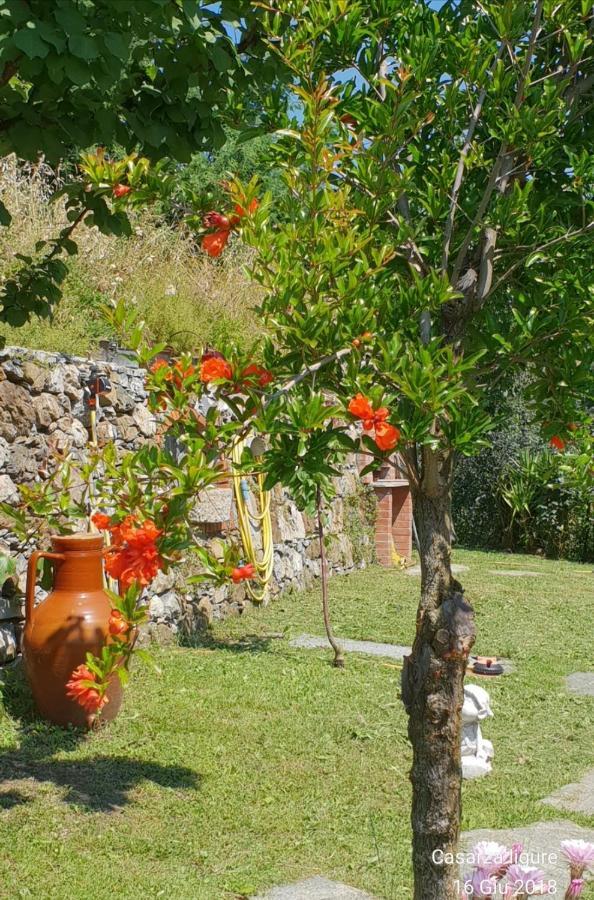 Ca' Olivella Villa Casarza Ligure Buitenkant foto