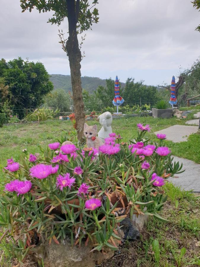 Ca' Olivella Villa Casarza Ligure Buitenkant foto